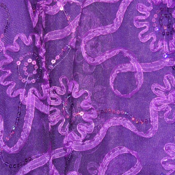 Costume Gallery Purple Ballet Tutu Velvet Sequins Ribbon Flowers Adult Small - Picture 5 of 11